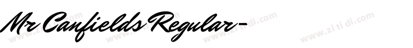 Mr Canfields Regular字体转换